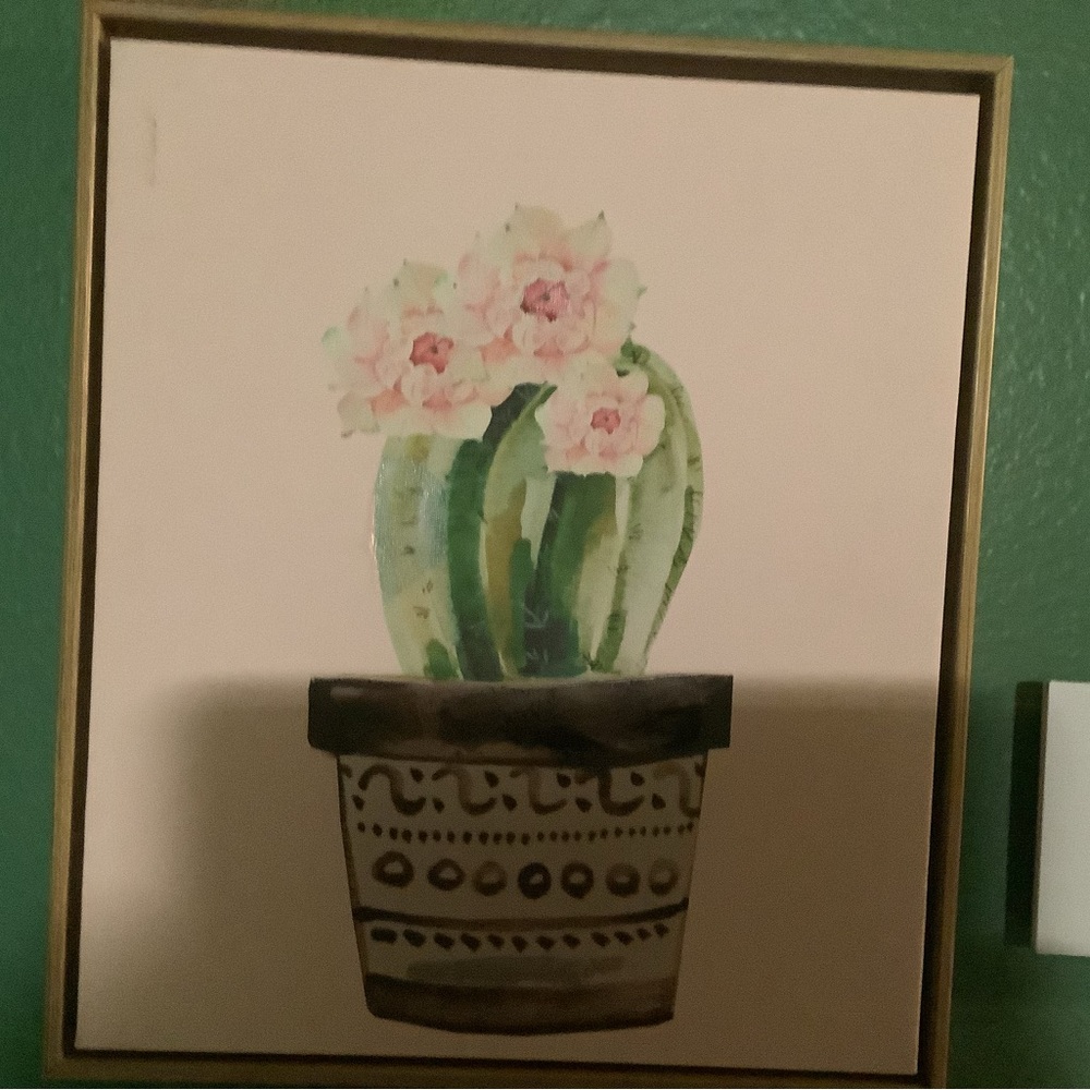 Sweet green & pink cactus print approximately 13x13